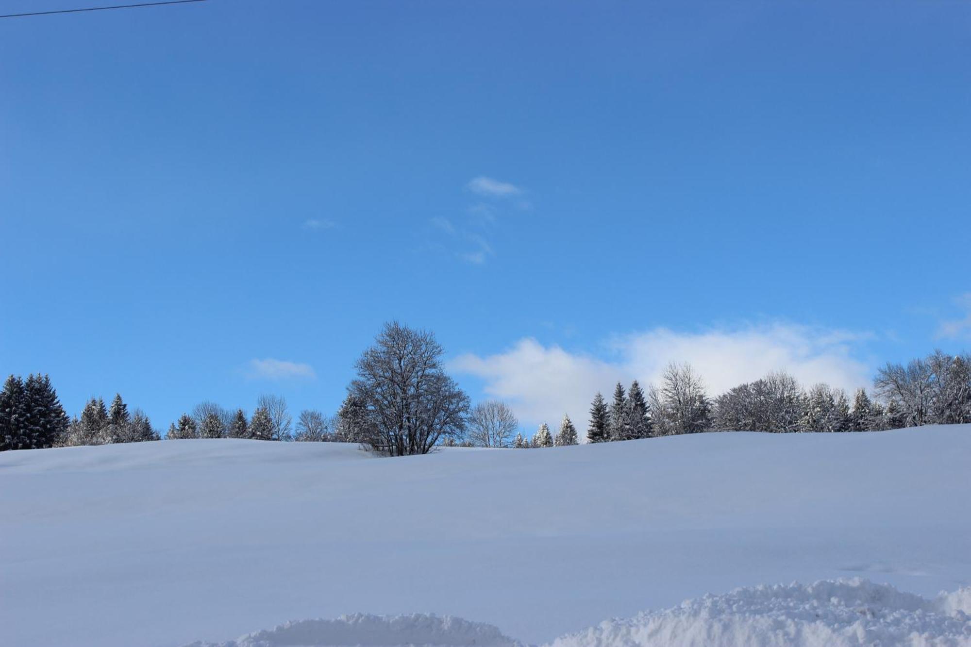 Le Chalet D'Ulysse Arâches エクステリア 写真