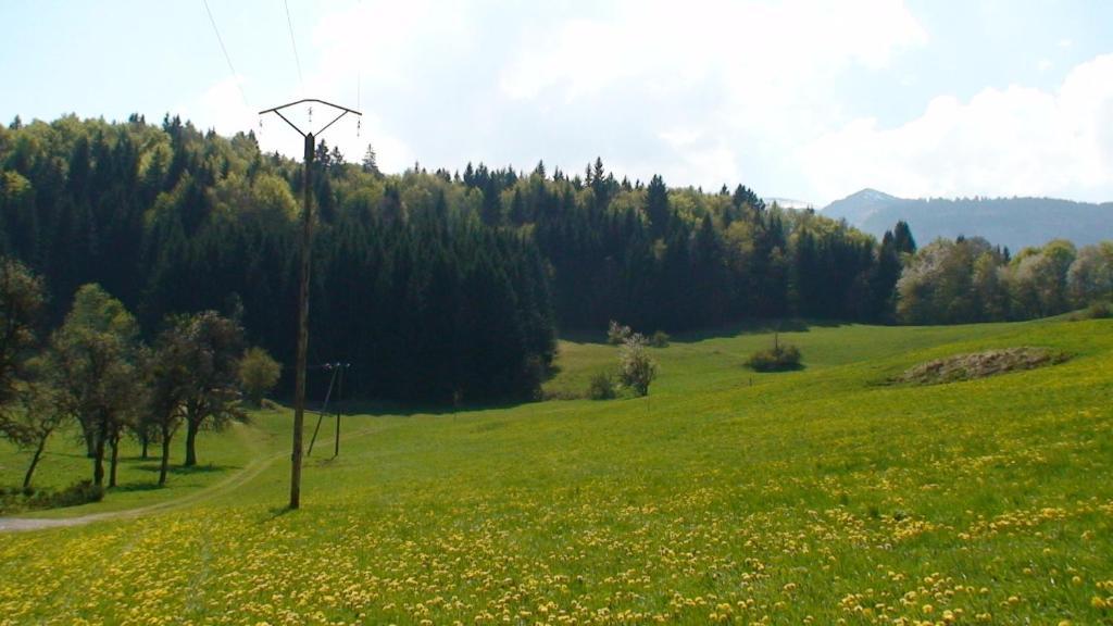 Le Chalet D'Ulysse Arâches エクステリア 写真