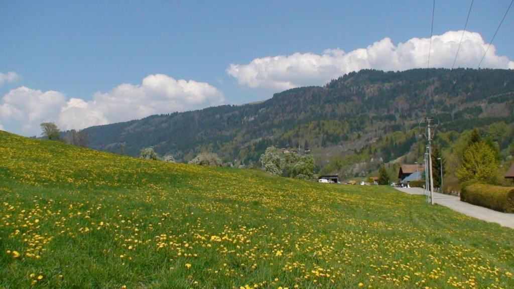Le Chalet D'Ulysse Arâches エクステリア 写真